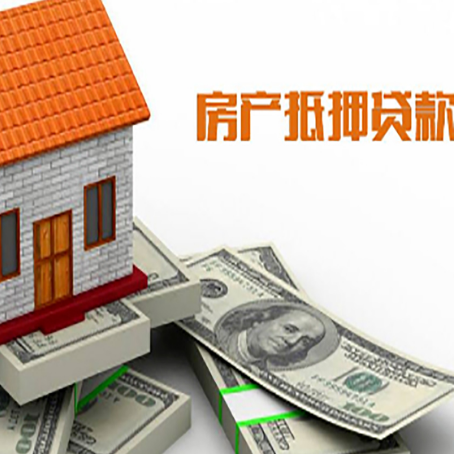 遂溪贷款公司新渝启服怎么选择